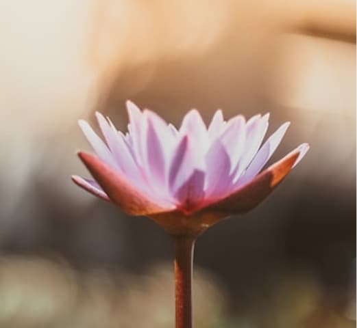 Setkání se sebou pro ženy